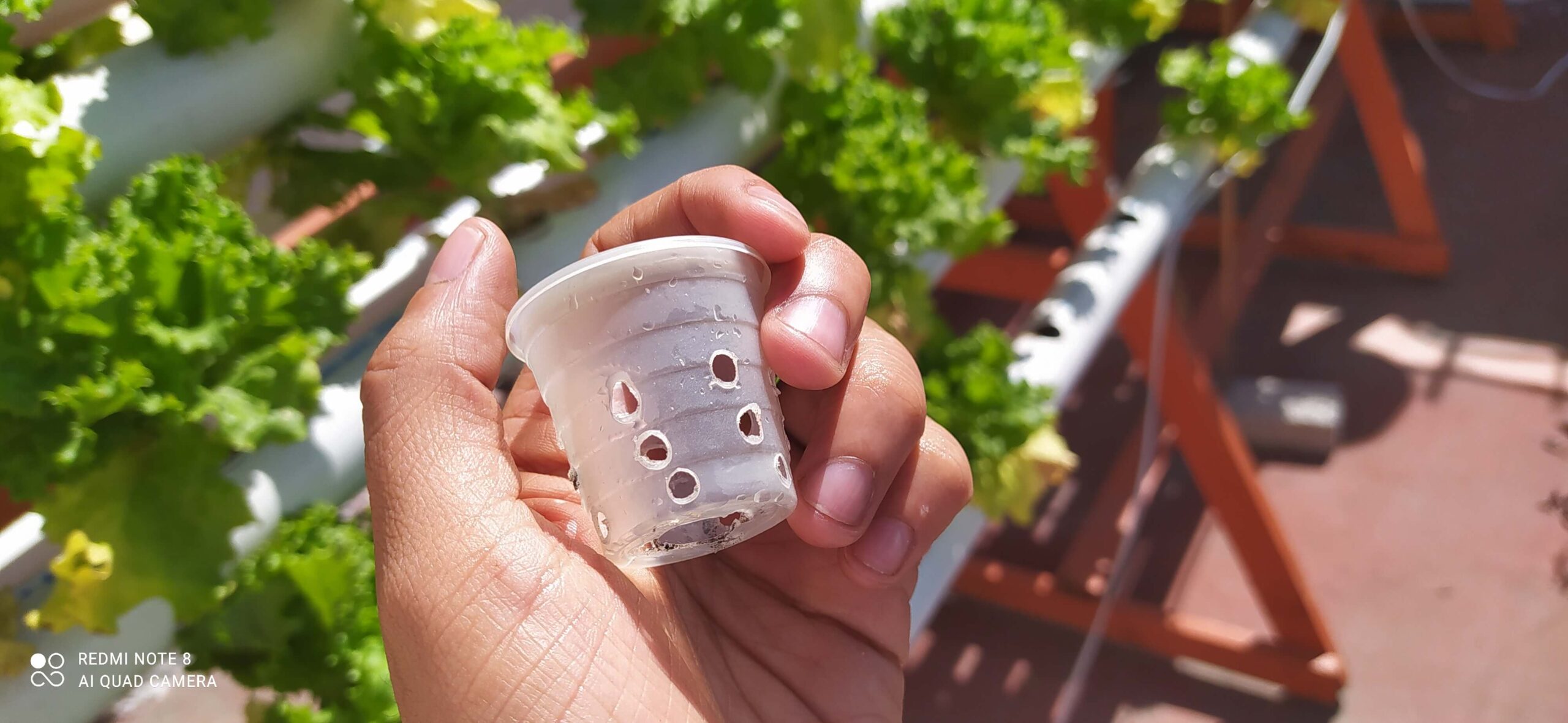 Azotea a la Boca