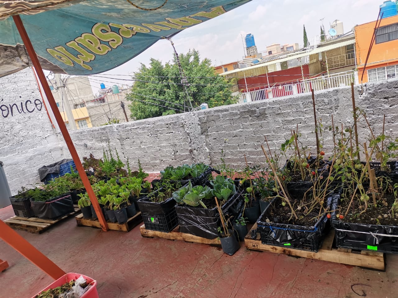 Azotea a la Boca