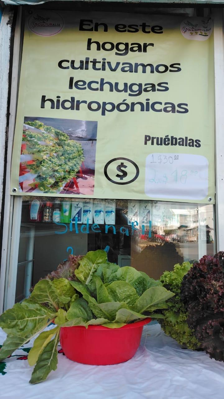 Azotea a la Boca