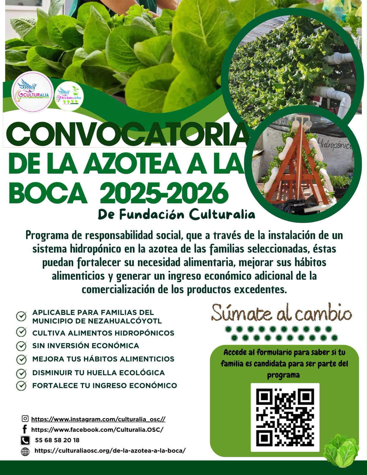 Convocatoria 1