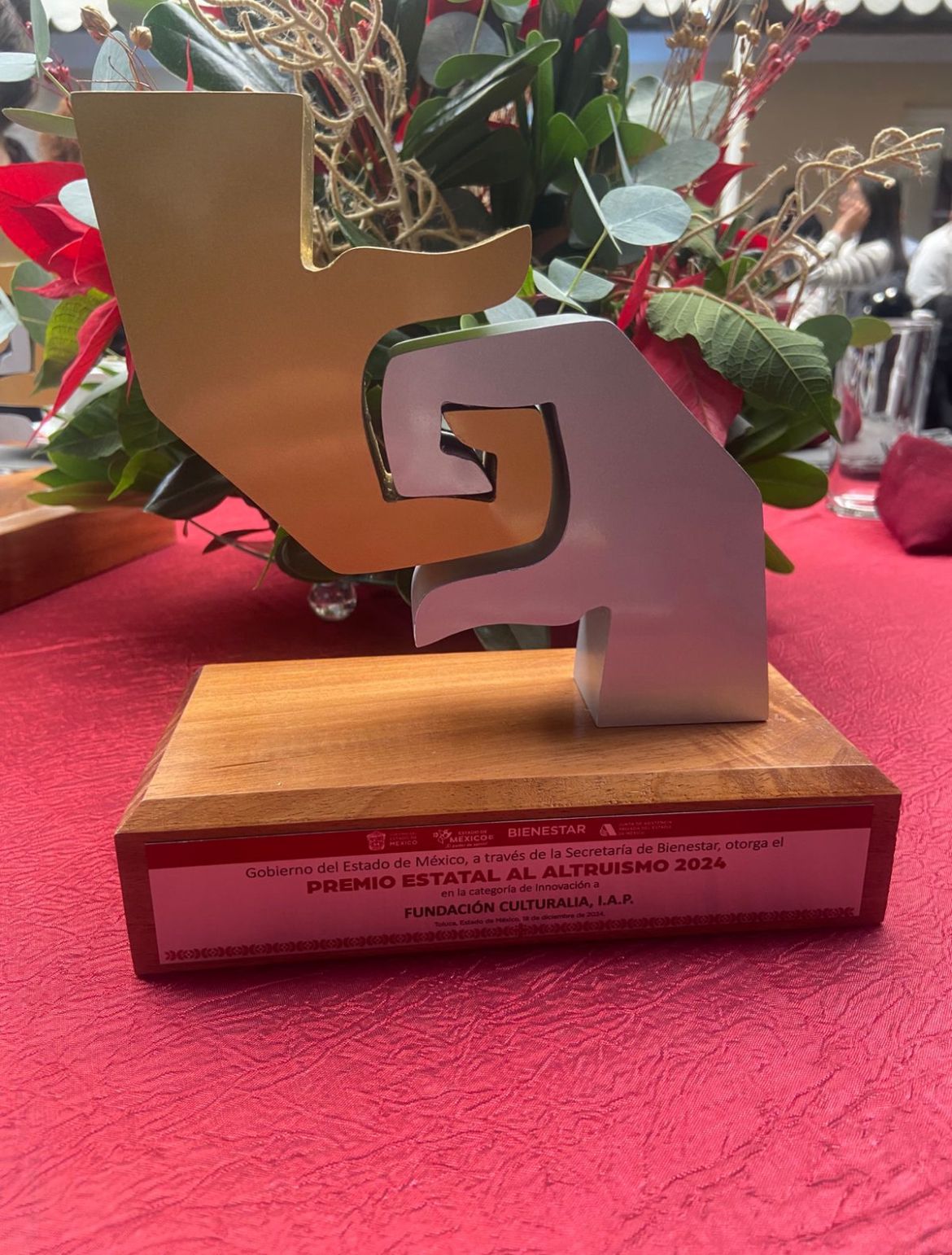 Premio Estatal al Altruismo 2024 - JAPEM